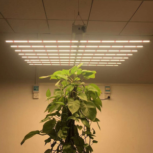 Best Led Light for Led Plant Growth Light