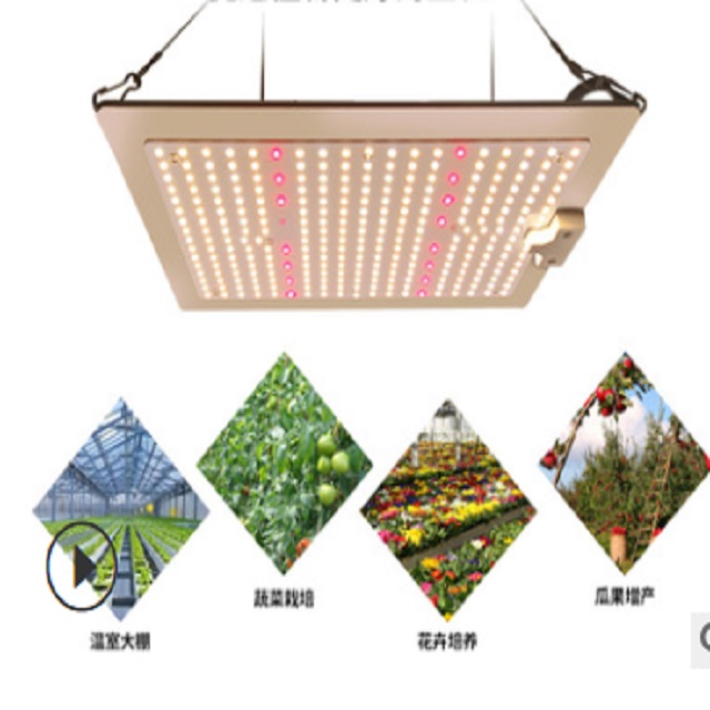 Greenhouse Full-spectrum Quantum Board Plant Growth Supplement Light