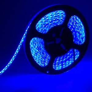 Blue Color 2835 with 60LEDs/M Non-waterproof Led Strip