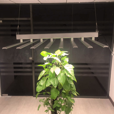 High Quality Plant Growth Light Provides The Wavelengths For Plant Grow