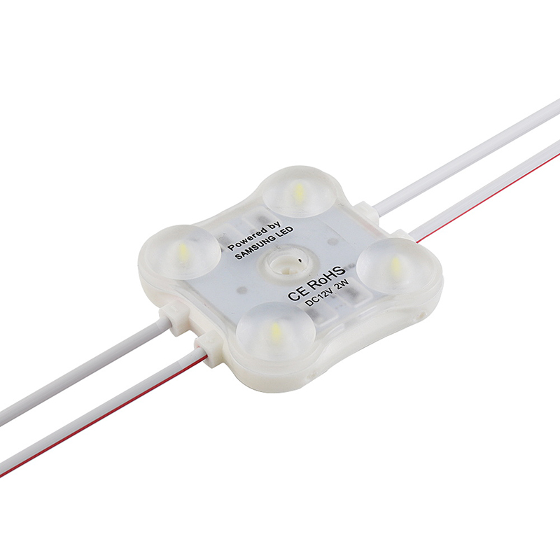 Factory Direct Injection Molding Module 2W Cold White Light